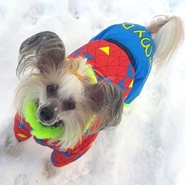Zimní overal pro psy – Viktorka
